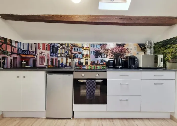 2 Charmants Logements * Charmant Gite Colmar *